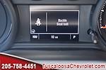 2024 Chevrolet Silverado 1500 Double Cab 4x2, Pickup for sale #326329 - photo 23