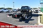 2024 Chevrolet Silverado 5500 Crew Cab DRW 4x4, Cab Chassis for sale #401512 - photo 2