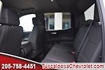 2024 Chevrolet Silverado 1500 Crew Cab 4x2, Pickup for sale #Z155894 - photo 12