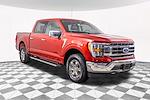 2023 Ford F-150 SuperCrew Cab 4x4, Pickup for sale #C3831 - photo 8