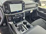 New 2024 Ford F-150 XLT SuperCrew Cab 4WD, Pickup for sale #42RKD60774 - photo 29