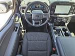 New 2024 Ford F-150 XLT SuperCrew Cab 4WD, Pickup for sale #42RKD91116 - photo 25