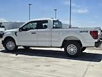 New 2024 Ford F-150 XL Super Cab 4WD, Pickup for sale #42RKE13728 - photo 16