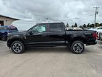 New 2024 Ford F-150 STX SuperCrew Cab 4x4, Pickup for sale #24FE1191 - photo 4