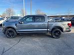 New 2024 Ford F-150 XLT SuperCrew Cab 4x4, Pickup for sale #24FE1714 - photo 4