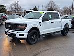 New 2024 Ford F-150 STX SuperCrew Cab 4x4, Pickup for sale #24FE1775 - photo 3