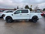 New 2024 Ford F-150 STX SuperCrew Cab 4x4, Pickup for sale #24FE1775 - photo 4