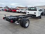 New 2024 Ford F-450 XL Regular Cab 4x4, Cab Chassis for sale #24FE1798 - photo 5