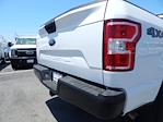 Used 2019 Ford F-150 Regular Cab 4x4, Pickup for sale #062A-09450 - photo 8