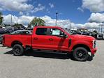 2024 Ford F-250 Crew Cab 4x4, Pickup for sale #24339 - photo 3