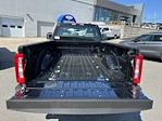 2024 Ford F-250 Regular Cab 4x4, Pickup for sale #24371 - photo 11