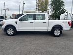 Used 2021 Ford F-150 SuperCrew Cab 4WD, Pickup for sale #15454 - photo 3