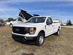 New 2023 Ford F-150 XL Regular Cab 4x4, Pickup for sale #F60854 - photo 7