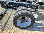 New 2024 Ford F-450 XL Regular Cab 4x4, Cab Chassis for sale #T24051 - photo 6