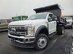 2024 Ford F-550 Regular Cab DRW 4x4, Reading Dump Truck for sale #T24243 - photo 1