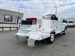 Used 2019 Ram 3500 Tradesman Regular Cab 4x4, Service Truck for sale #4RT3383 - photo 2