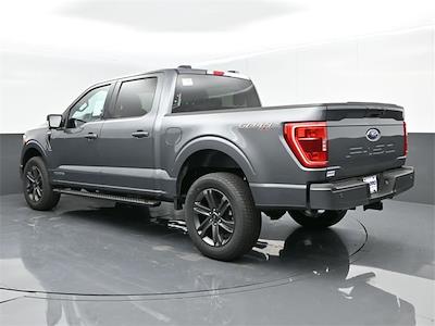 2023 Ford F-150 SuperCrew Cab 4WD, Pickup for sale #23T388 - photo 2