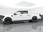 New 2024 Ford F-150 STX SuperCrew Cab RWD, Pickup for sale #24F164L - photo 6