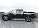 New 2024 Ford F-150 STX SuperCrew Cab RWD, Pickup for sale #24F455 - photo 13