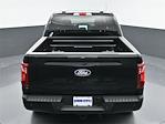 New 2024 Ford F-150 STX SuperCrew Cab RWD, Pickup for sale #24F455 - photo 15