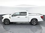 New 2024 Ford F-150 STX SuperCrew Cab RWD, Pickup for sale #24F477 - photo 36