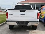 Used 2016 Ford F-150 XL Regular Cab 4x4, Pickup for sale #24DT065A - photo 10