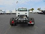 New 2024 Ford F-350 XL Regular Cab 4x4, Cab Chassis for sale #RDA30668 - photo 6