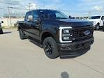 2024 Ford F-250 Crew 4x4 XL for sale #REE45380 - photo 5