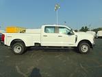 2024 Ford F-350 Crew 4x4 XL Crew Cab pickup for sale #REE93603 - photo 6