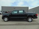 2024 Ford F-150 SuperCrew 4x4 XL for sale #RKD07015 - photo 3