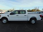 2024 Ford F-150 SuperCrew 4x4 XL for sale #RKF30065 - photo 2