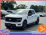 New 2024 Ford F-150 STX SuperCrew Cab 4x4, Pickup for sale #245633 - photo 1