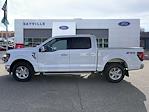 Used 2024 Ford F-150 XLT SuperCrew Cab 4x4, Pickup for sale #F31824 - photo 3