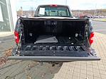 1999 Ford F-150 Regular Cab RWD, Pickup for sale #H402555 - photo 24