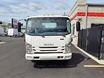 Used 2017 Isuzu NQR Regular Cab 4x2, Cab Chassis for sale #670632 - photo 4
