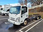 Used 2018 Isuzu NQR Regular Cab 4x2, Cab Chassis for sale #750193 - photo 1