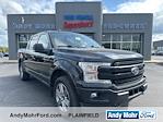 2019 Ford F-150 SuperCrew Cab 4x4, Pickup for sale #F2904 - photo 1