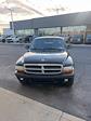 2004 Dodge Dakota Club Cab 4x2, Pickup for sale #F3031A - photo 3