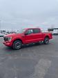 2023 Ford F-150 SuperCrew Cab 4x4, Pickup for sale #T37844 - photo 3