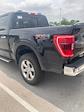 New 2023 Ford F-150 XLT SuperCrew Cab 4WD, Pickup for sale #T38491 - photo 2