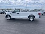 2024 Ford F-150 Regular Cab RWD, Pickup for sale #T40247 - photo 13