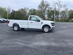 2024 Ford F-150 Regular Cab RWD, Pickup for sale #T40247 - photo 5