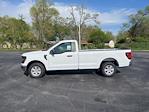 2024 Ford F-150 Regular Cab RWD, Pickup for sale #T40249 - photo 3