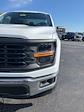 2024 Ford F-150 Regular Cab RWD, Pickup for sale #T40249 - photo 9