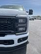 2024 Ford F-250 Crew Cab 4WD, Pickup for sale #T40263 - photo 10