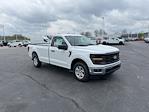 2024 Ford F-150 Regular Cab RWD, Pickup for sale #T40270 - photo 7