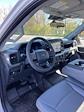 2024 Ford F-150 Regular Cab RWD, Pickup for sale #T40271 - photo 16