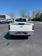 2024 Ford F-150 Regular Cab RWD, Pickup for sale #T40271 - photo 4