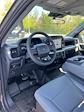 2024 Ford F-150 Regular Cab 4WD, Pickup for sale #T40375 - photo 17