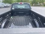 2024 Ford F-150 Regular Cab 4WD, Pickup for sale #T40447 - photo 11